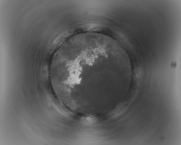 X0000113980506200910021140