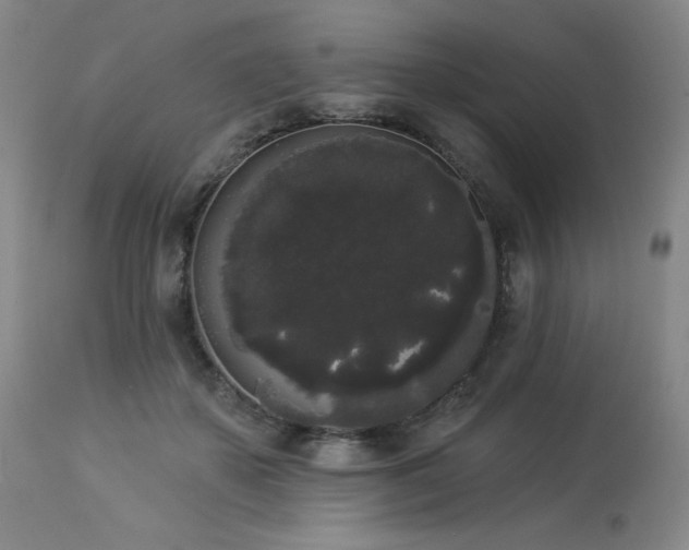 X0000113980507200910021140