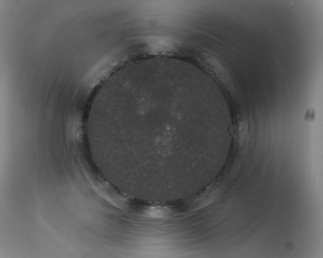 X0000113980508200910021140