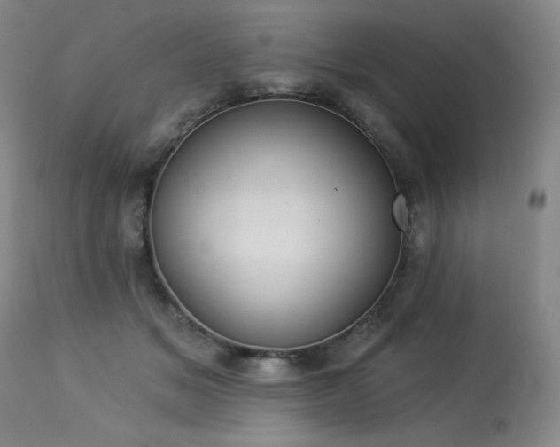 X0000113980509200910021140