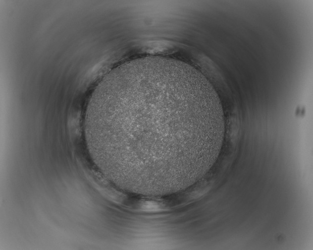 X0000113980510200910021140