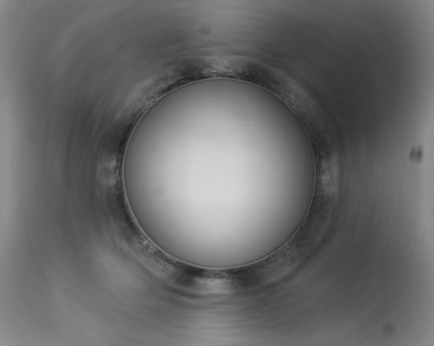 X0000113980514200910021140