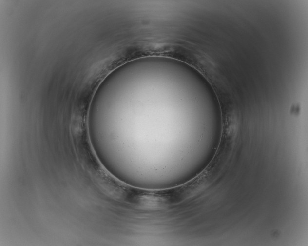 X0000113980515200910021140