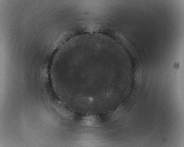 X0000113980516200910021140