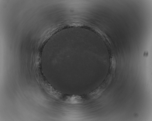 X0000113980517200910021140