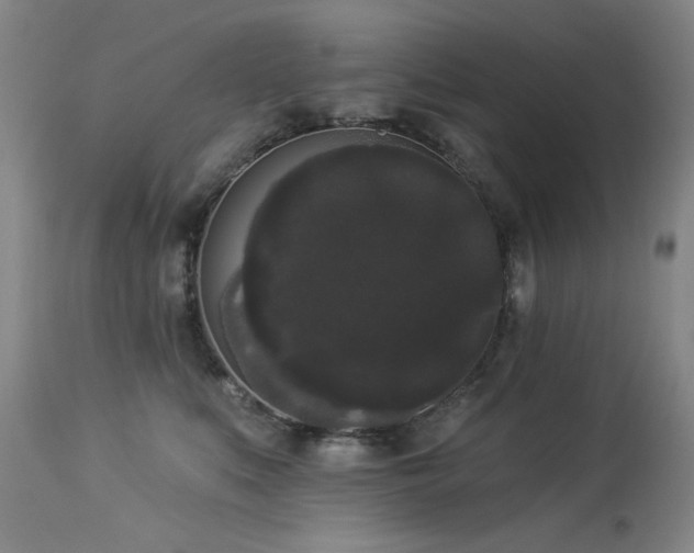 X0000113980519200910021140