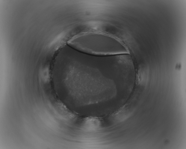 X0000113980520200910021140