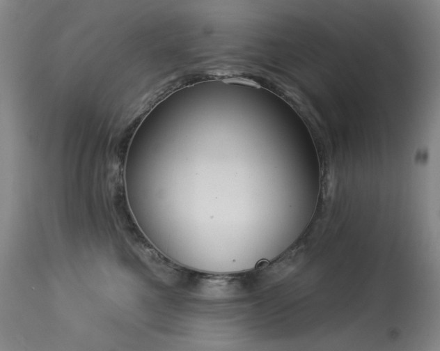 X0000113980521200910021140