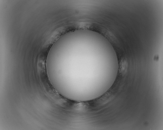 X0000113980522200910021140