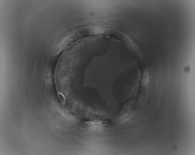 X0000113980524200910021140