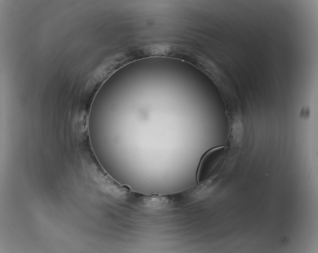 X0000113980525200910021140