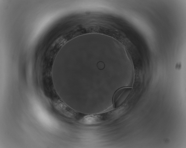 X0000113980526200910021140