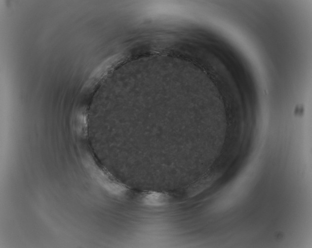 X0000113980527200910021140