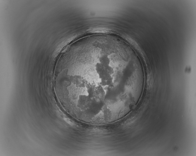 X0000113980529200910021139