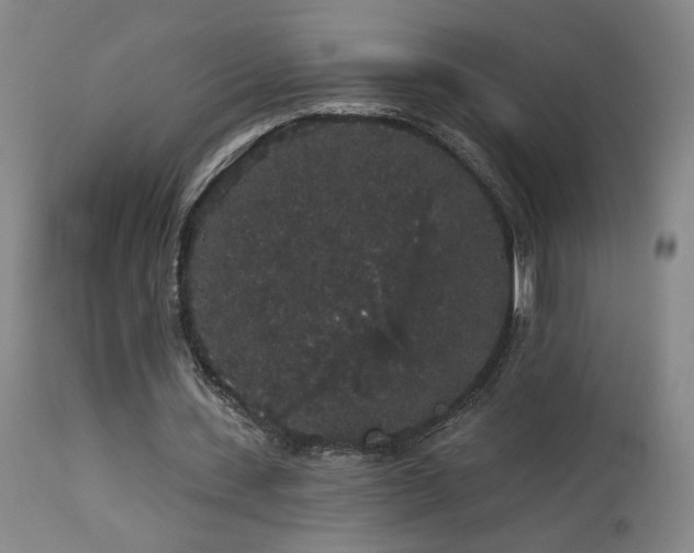 X0000113980531200910021139