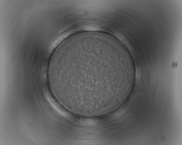 X0000113980533200910021139