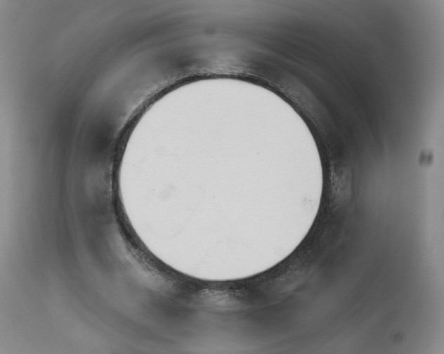 X0000113980534200910021139