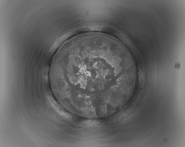 X0000113980537200910021139