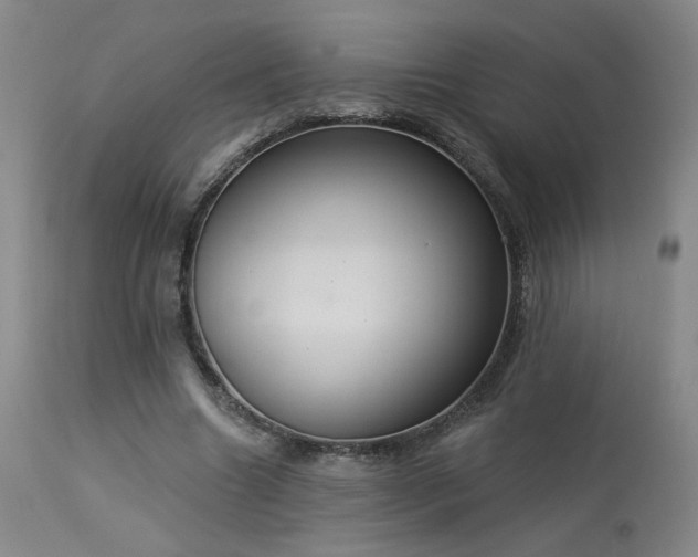 X0000113980538200910021139