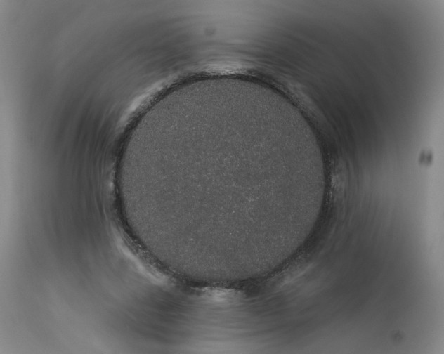 X0000113980539200910021139