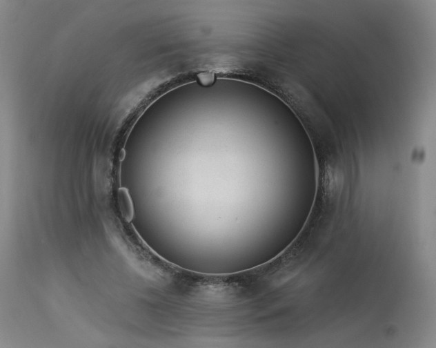 X0000113980540200910021139