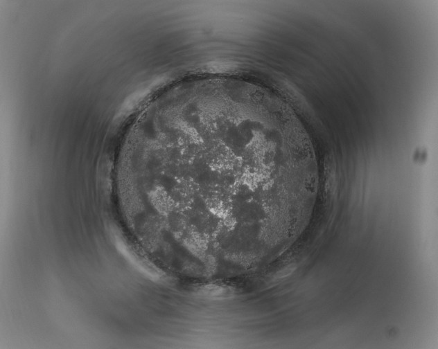 X0000113980542200910021139