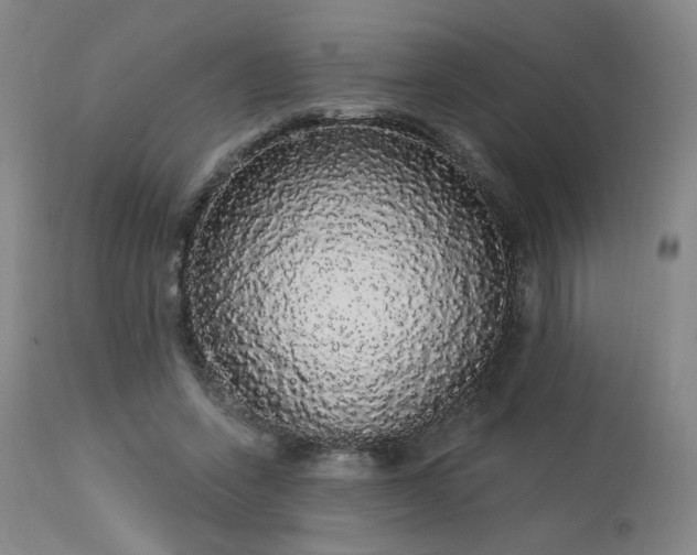 X0000113980543200910021139