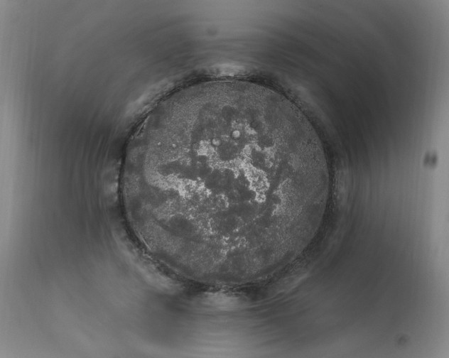 X0000113980545200910021139