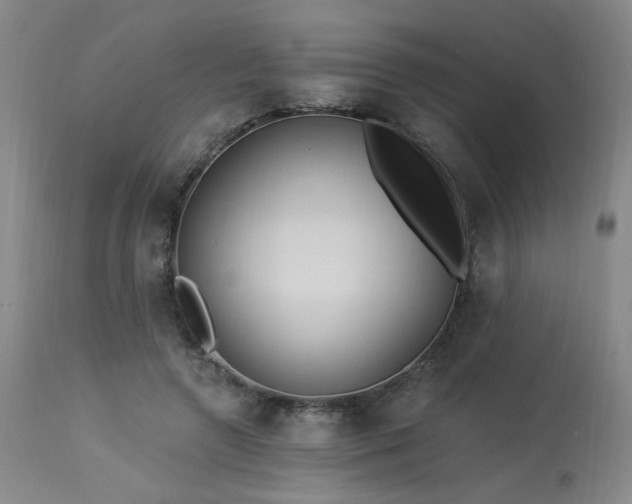 X0000113980546200910021139