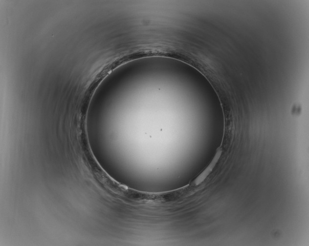 X0000113980548200910021139