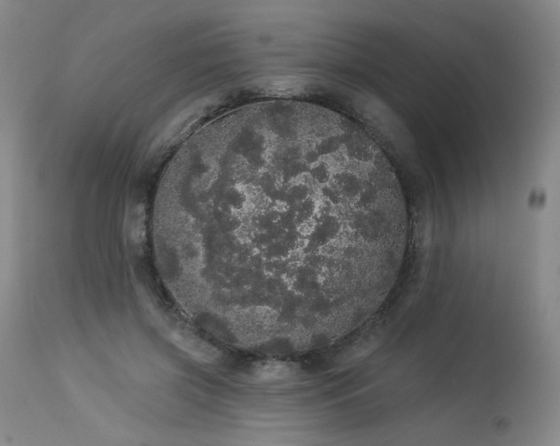 X0000113980549200910021139