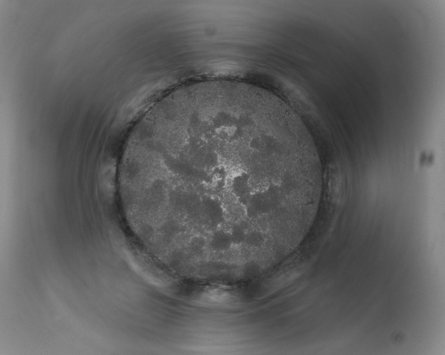 X0000113980550200910021139