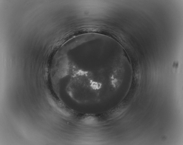 X0000113980551200910021139