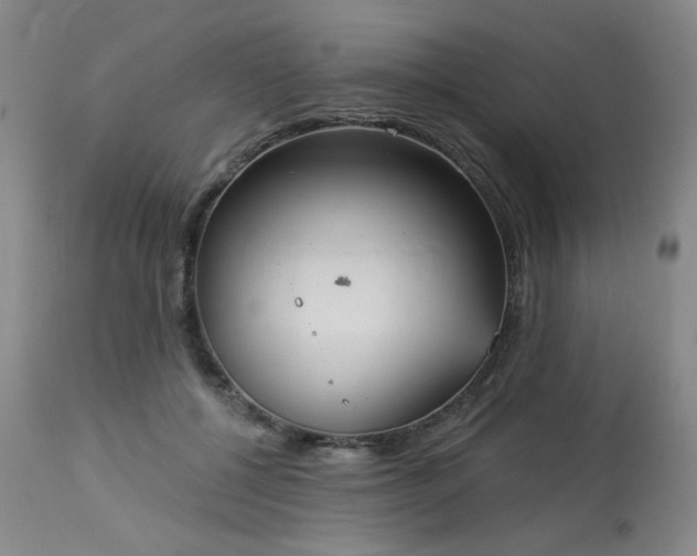 X0000113980552200910021139