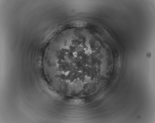 X0000113980553200910021139