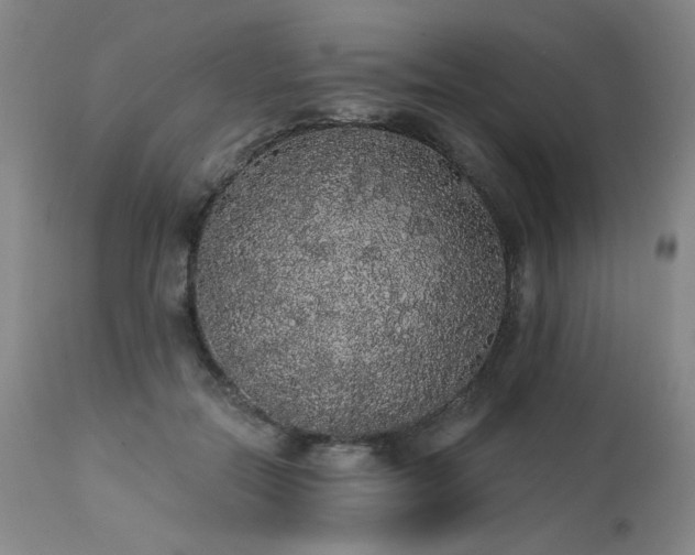 X0000113980554200910021139