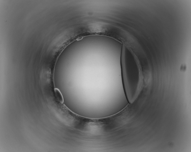 X0000113980556200910021139