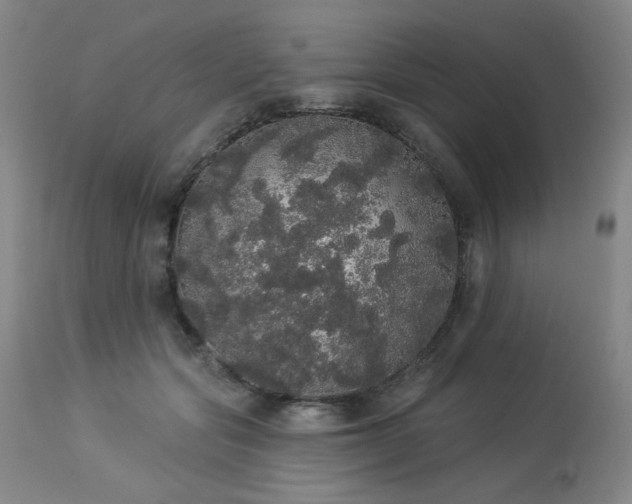 X0000113980557200910021139