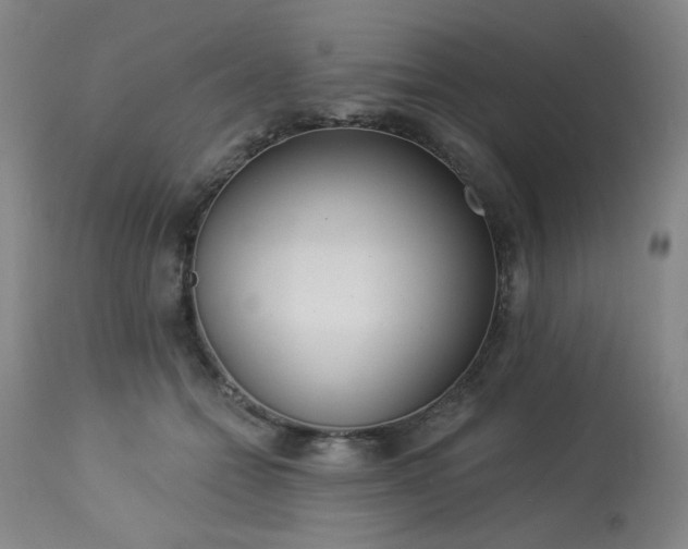 X0000113980558200910021139