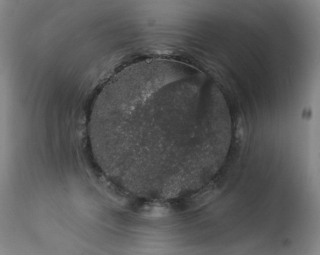 X0000113980559200910021139