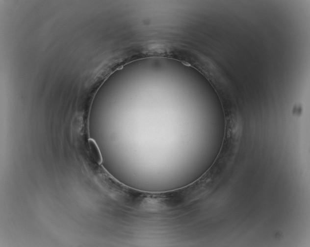 X0000113980560200910021139