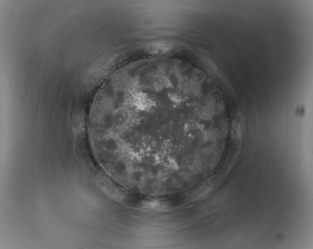 X0000113980561200910021139