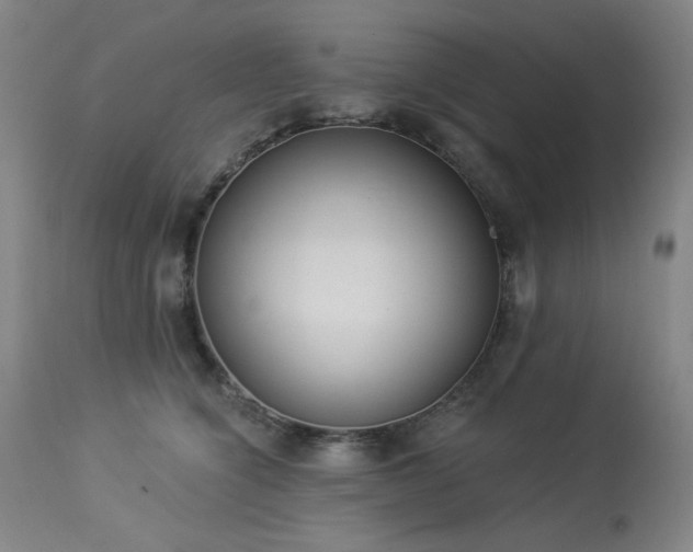 X0000113980564200910021139