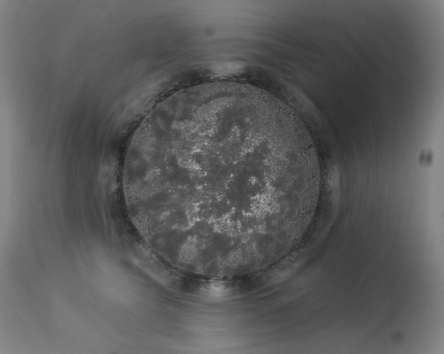 X0000113980565200910021139