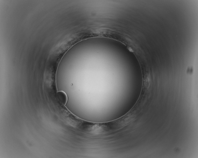 X0000113980566200910021139