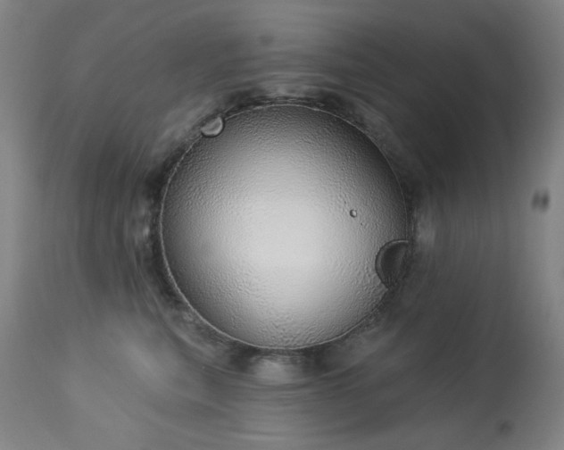 X0000113980567200910021139