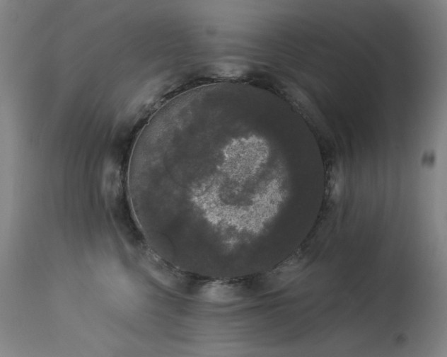 X0000113980568200910021139