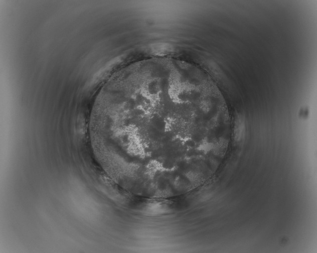 X0000113980569200910021139