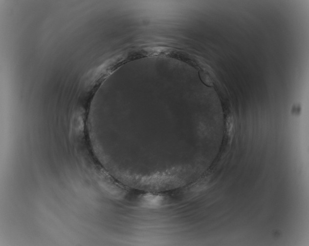 X0000113980570200910021139