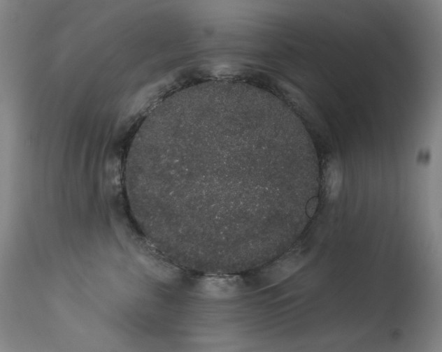 X0000113980571200910021139